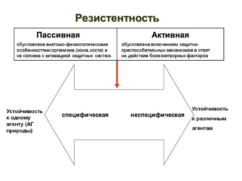 Резистентность          Пассивная   Активная